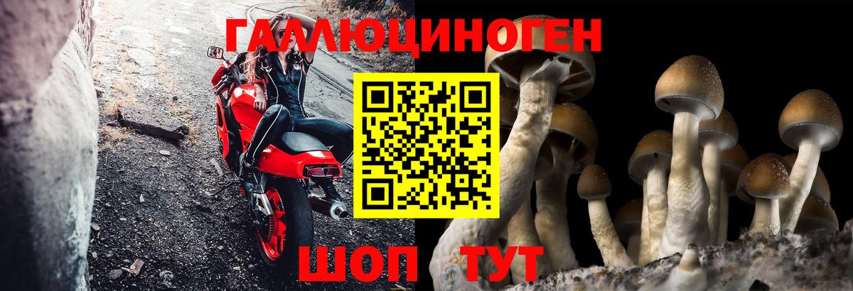 Мефедрон Евпатория
